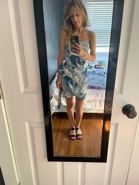 Reformation Blue and White Bird Dress
